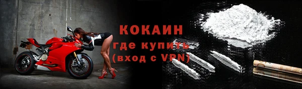 кокс Ельня
