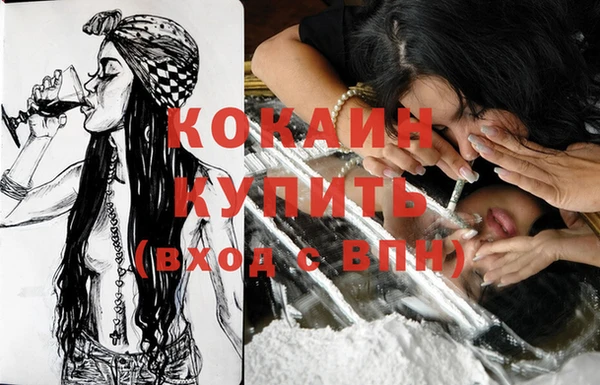 кокс Ельня