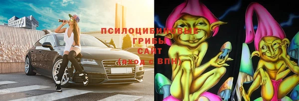 соль ск Елабуга