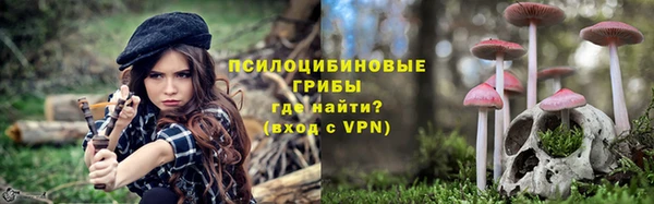 кокс Ельня
