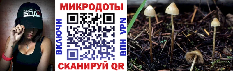 Псилоцибиновые грибы MAGIC MUSHROOMS  где купить наркоту  Долгопрудный 